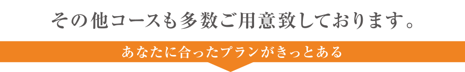 その他コースも多数ご用意致しております。あなたに合ったプランがきっとある