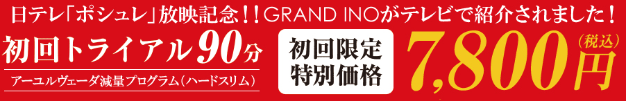90分　アーユルヴェーダ減量プログラム（ハードスリム）　初回限定特別価格7800円