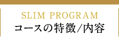 コースの特徴・内容