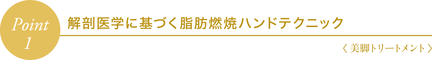 Point1 解剖生理学に基づく脂肪燃焼ハンドテクニック〈 美脚トリートメント 〉