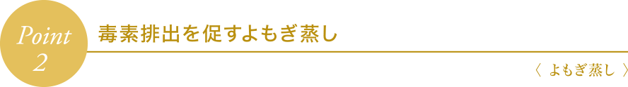 Point2 毒素排出を促すよもぎ蒸し〈 よもぎ蒸し 〉