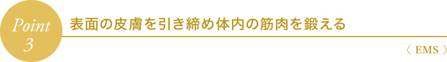 Point3 表面の皮膚を引き締め体内の筋肉を鍛える〈 EMS 〉