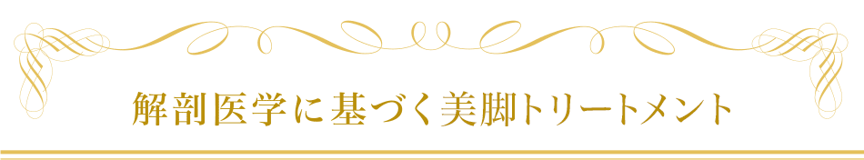 解剖生理学に基づく美脚ハンドトリートメント