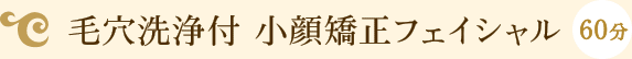 毛穴洗浄付 小顔矯正フェイシャル60分コースの詳細