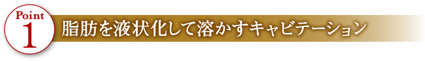 Point1 脂肪を液状化して溶かすキャビテーション