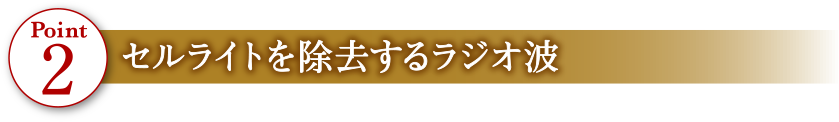 Point2 セルライトを除去するラジオ波