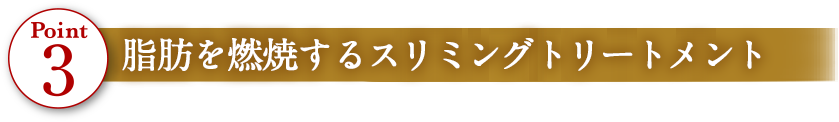 Point3 脂肪を燃焼するスリミング施術