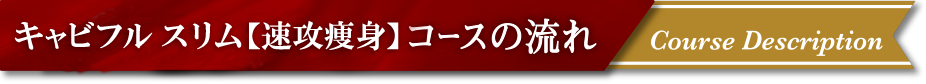 60分キャビフルスリム【速攻痩身】コースの流れ