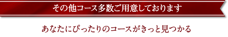 その他コースも多数ご用意致しております。あなたにぴったりのコースがきっと見つかる