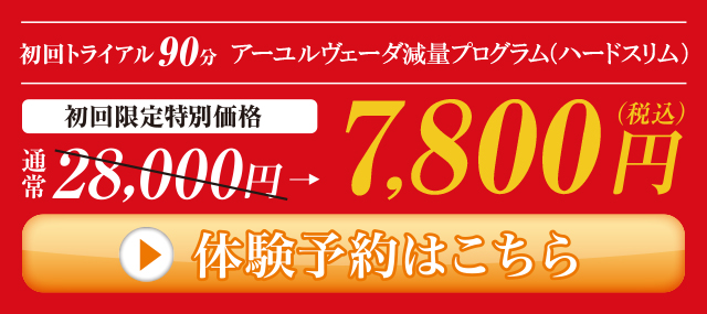 初回トライアル90分　アーユルヴェーダ減量プログラム　初回限定特別価格7,800円