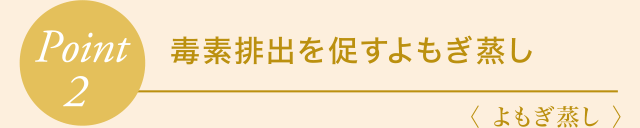 Point2 毒素排出を促すよもぎ蒸し〈 よもぎ蒸し 〉