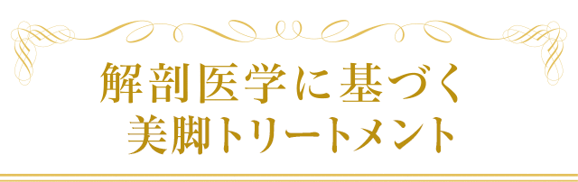 解剖生理学に基づく美脚ハンド施術