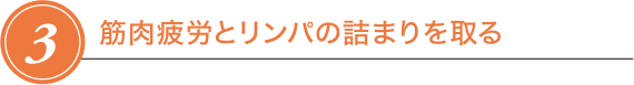 STEP3 筋肉疲労とリンパの詰まりを取る