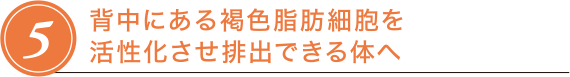 STEP5 背中にある褐色脂肪細胞を活性化させ排出できる体へ