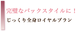 完璧なバックスタイルに！じっくり全身「ロイヤルプラン」