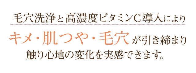 毛穴洗浄と高濃度ビタミンC導入によりキメ・肌つや・毛穴が引き締まり触り心地の変化を実感できます。