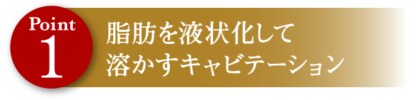 Point1 脂肪を液状化して溶かすキャビテーション