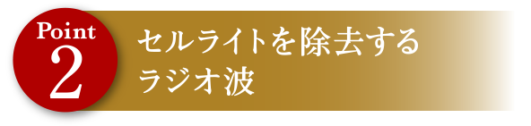 Point2 セルライトを除去するラジオ波