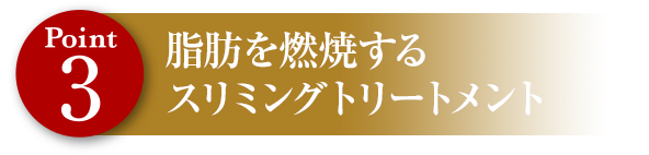 Point3 脂肪を燃焼するスリミング施術