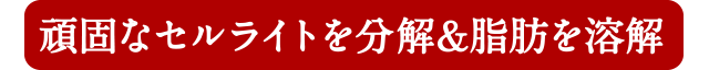 頑固なセルライトを分解＆脂肪を溶解