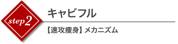 キャビフル【速攻痩身】メカニズム