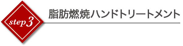 脂肪燃焼ハンドトリートメント